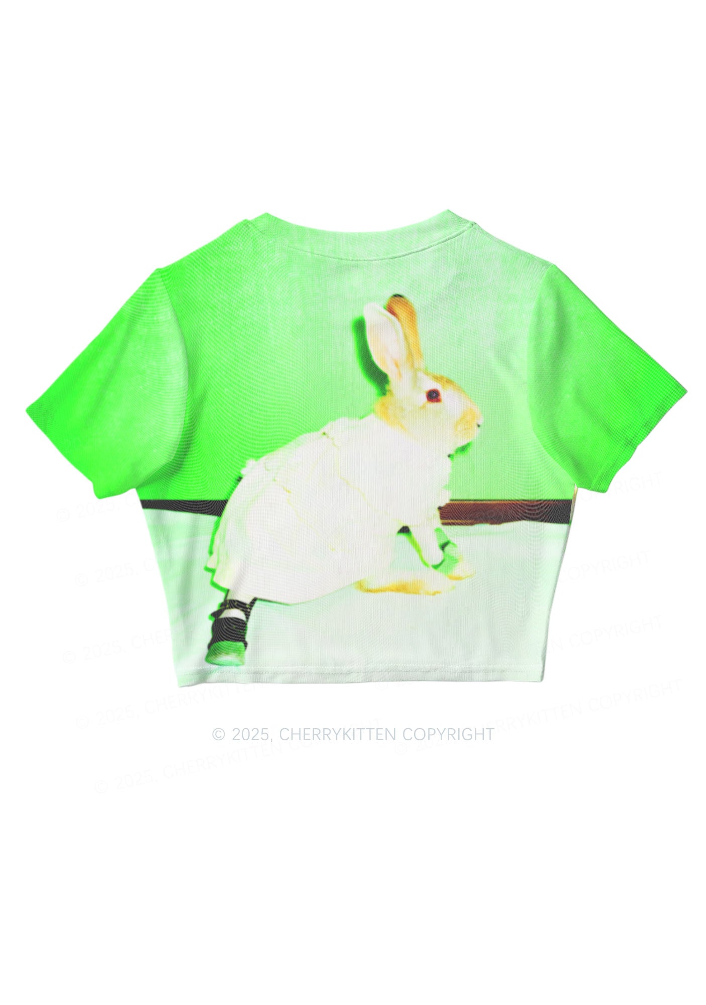 Red Eyed Rabbit Y2K Mesh Crop Top Cherrykitten