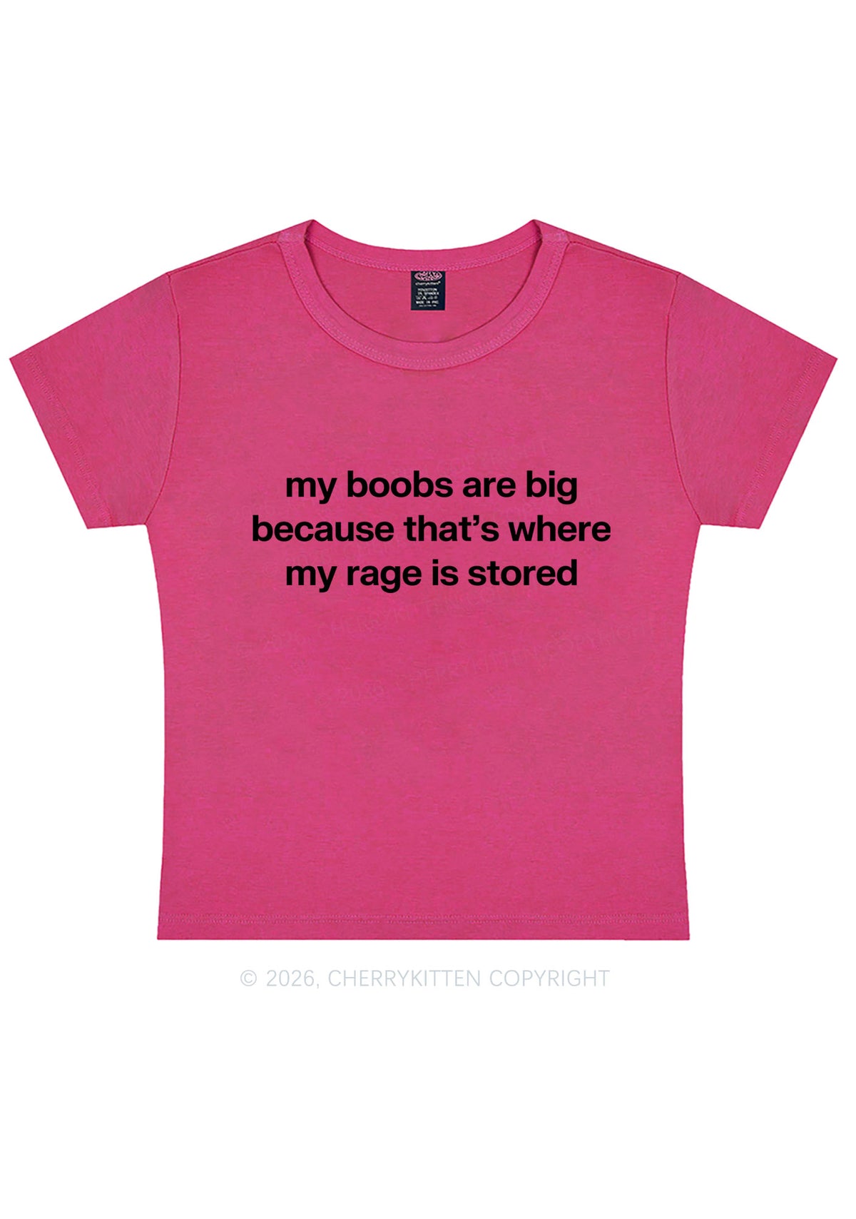 My Bxxbs Stored Rage Y2K Baby Tee Cherrykitten