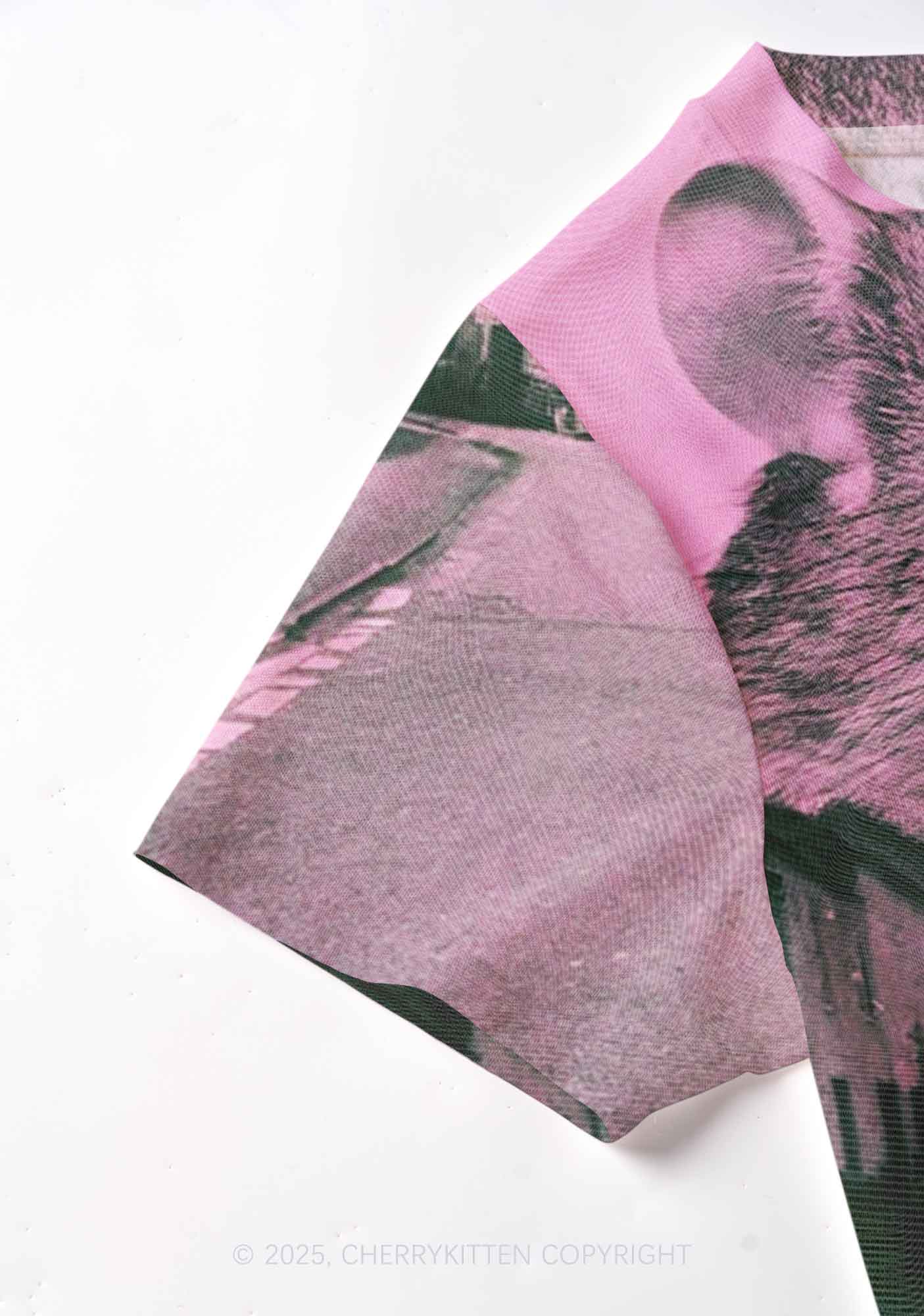 Rat Street Y2K Mesh Crop Top Cherrykitten