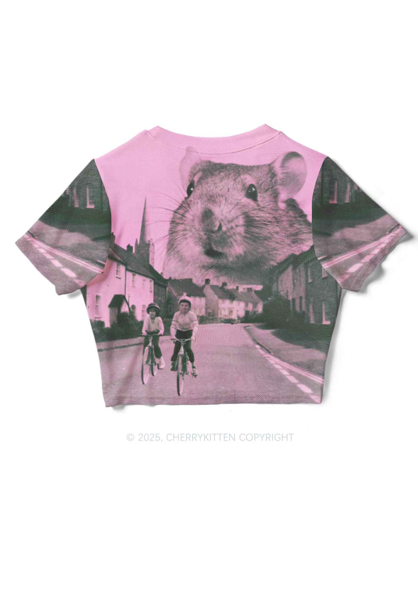 Rat Street Y2K Mesh Crop Top Cherrykitten