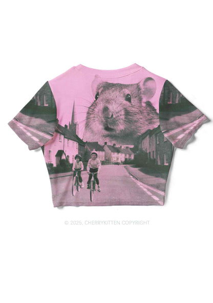 Rat Street Y2K Mesh Crop Top Cherrykitten