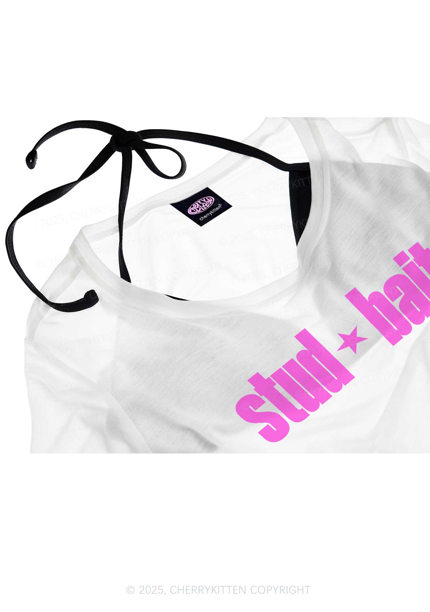 Stud Bait Pride Y2K Sheer Crop Tee Cherrykitten