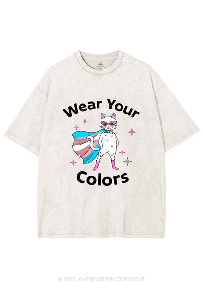 Transgender Flag Cat Pride Y2K Shirts Washed Tee Cherrykitten