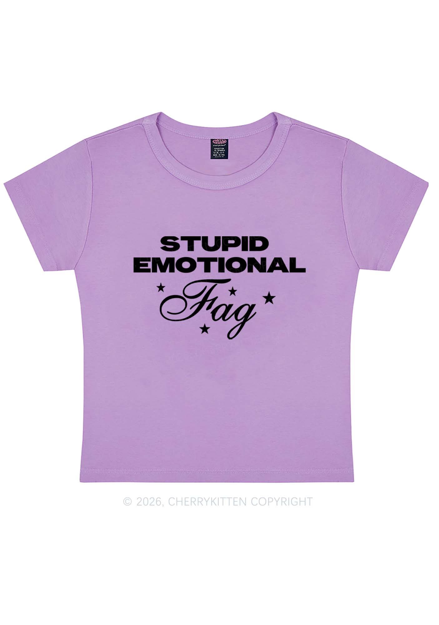 Stupid Emotional Fag Pride Y2K Baby Tee Cherrykitten