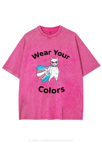 Transgender Flag Cat Pride Y2K Shirts Washed Tee Cherrykitten
