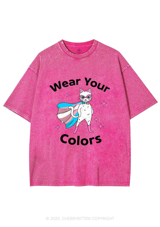 Transgender Flag Cat Pride Y2K Shirts Washed Tee Cherrykitten