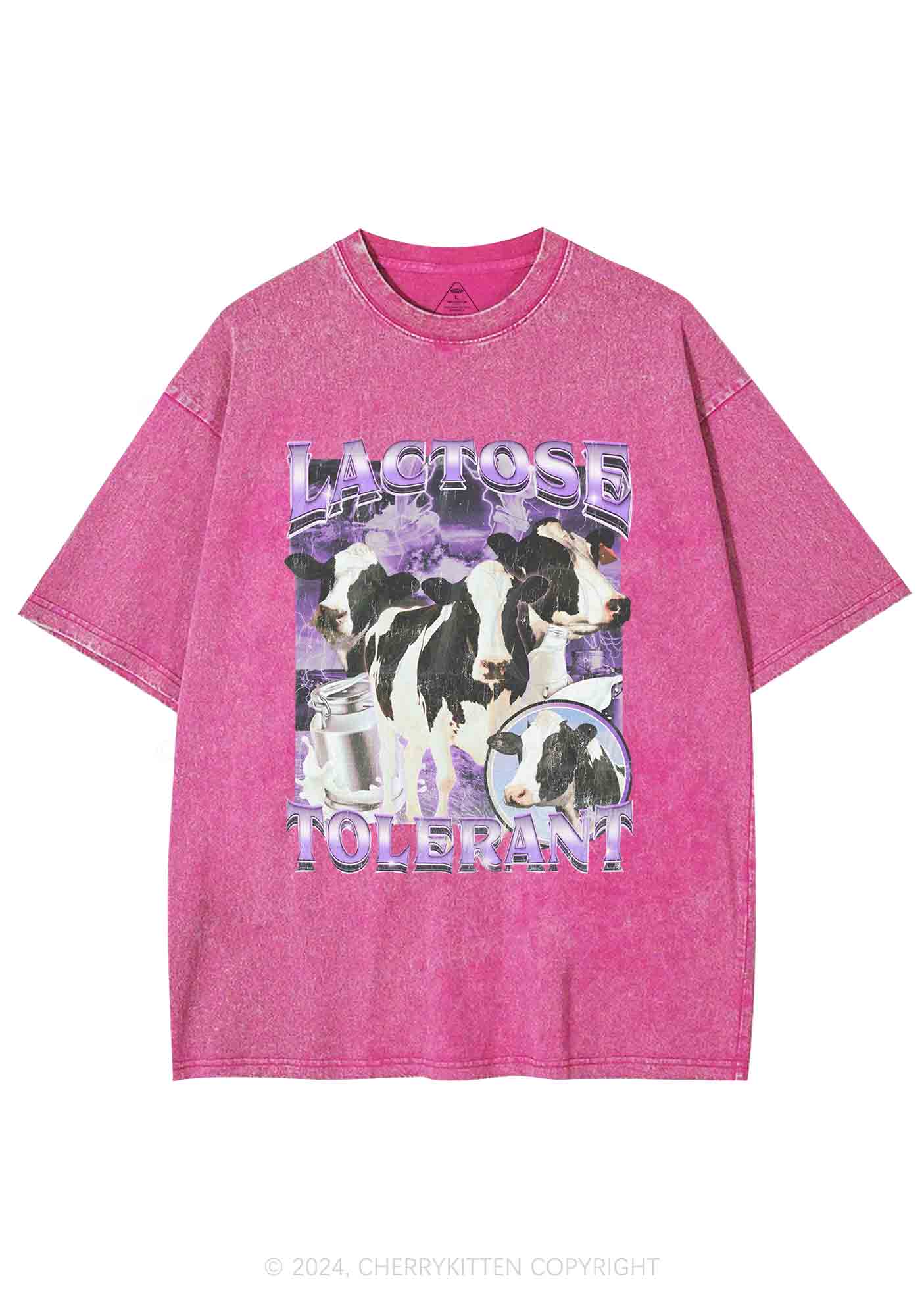 Lactose Tolerant Cow Y2K Washed Tee Cherrykitten