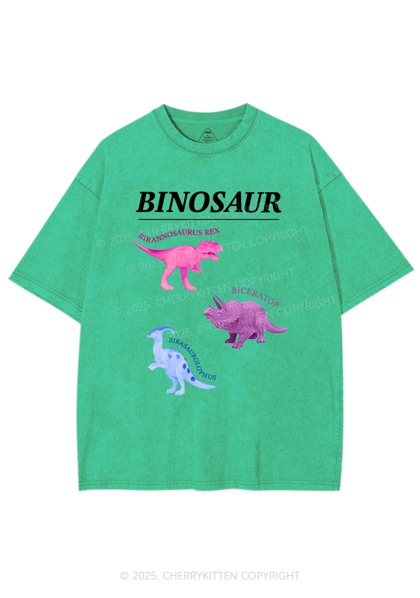 Binosaur Pride Y2K Shirts Washed Tee Cherrykitten