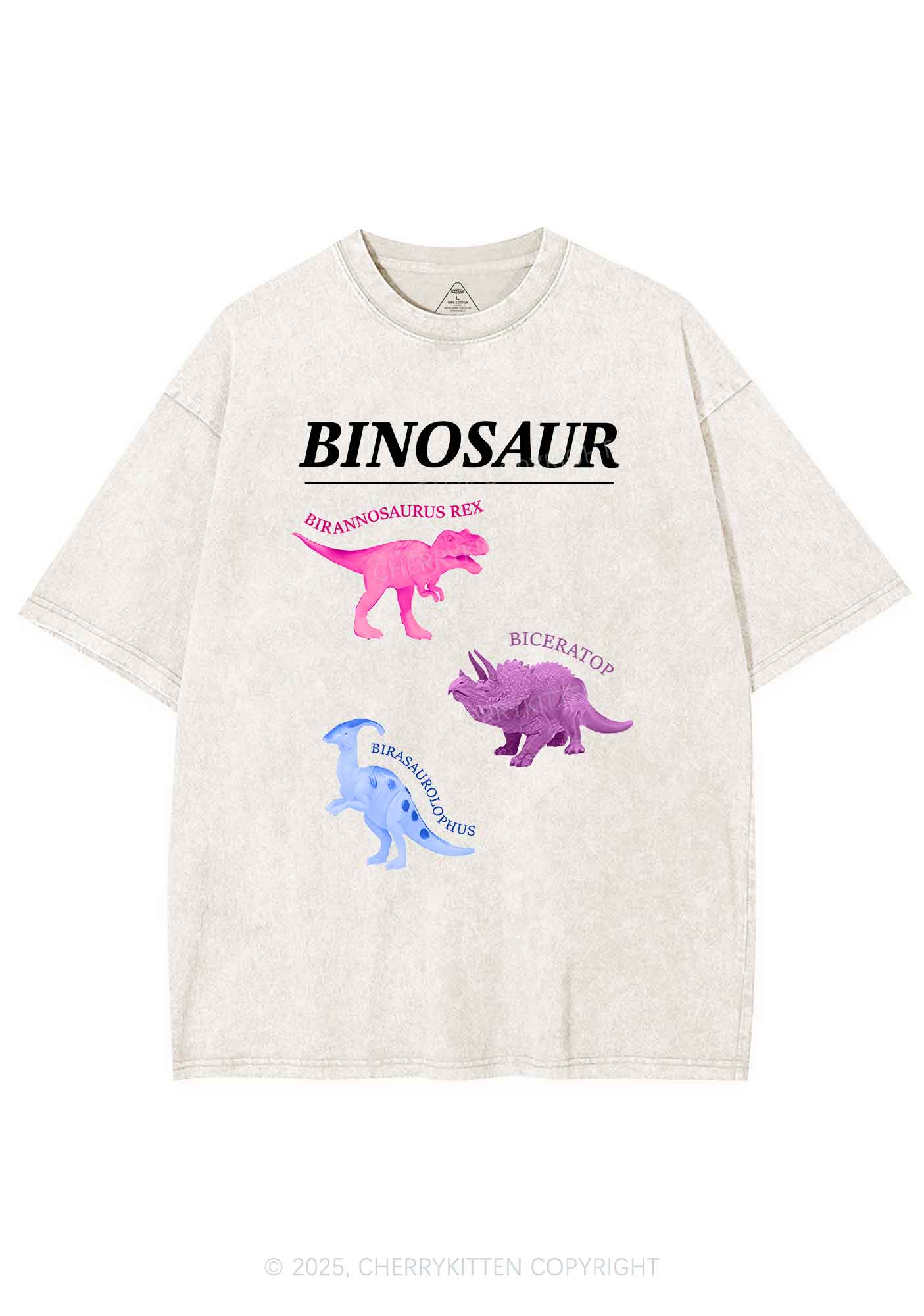 Binosaur Pride Y2K Shirts Washed Tee Cherrykitten