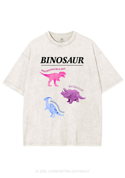 Binosaur Pride Y2K Shirts Washed Tee Cherrykitten
