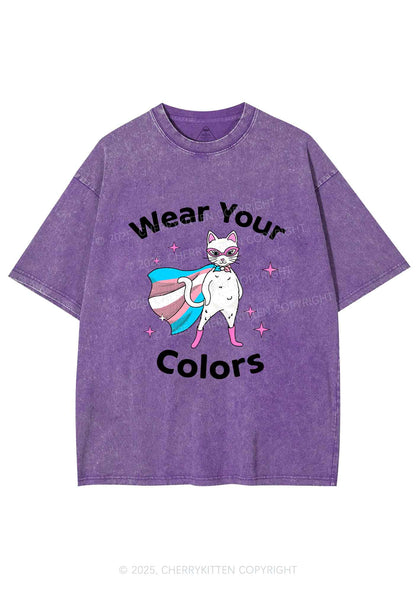 Transgender Flag Cat Pride Y2K Shirts Washed Tee Cherrykitten