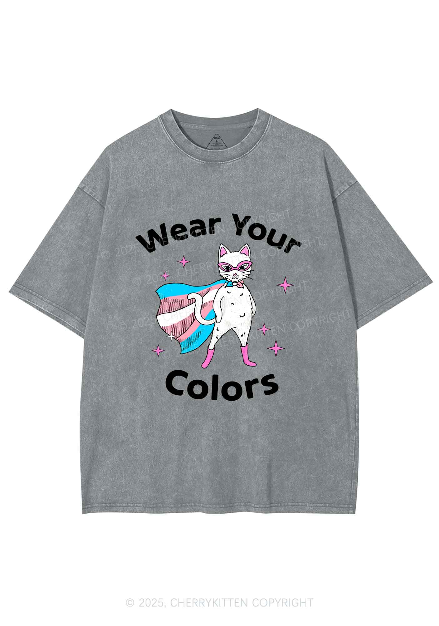 Transgender Flag Cat Pride Y2K Shirts Washed Tee Cherrykitten