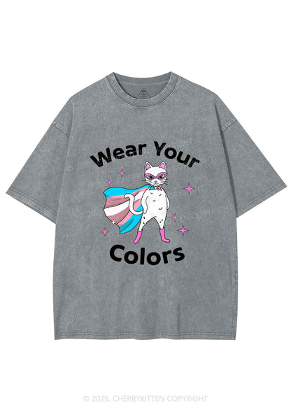 Transgender Flag Cat Pride Y2K Shirts Washed Tee Cherrykitten