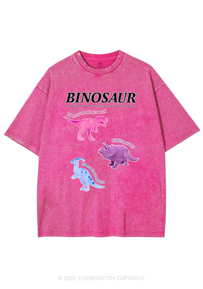 Binosaur Pride Y2K Shirts Washed Tee Cherrykitten