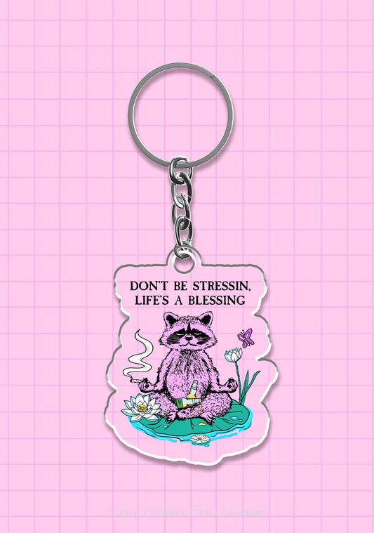 Dont Stress Raccoon 1Pc Y2K Keychain Cherrykitten