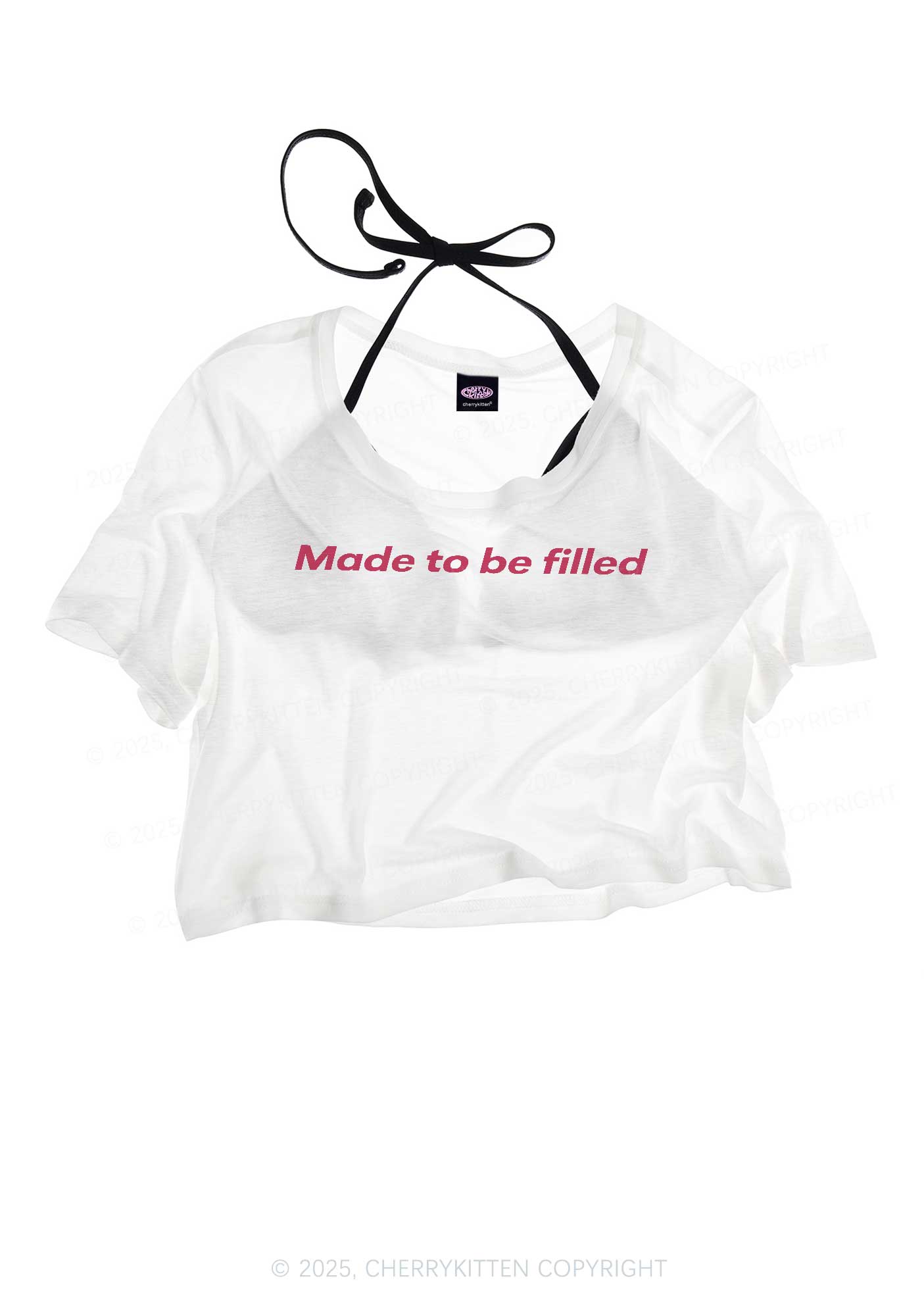 Made To Be Filled Y2K Sheer Crop Tee Cherrykitten