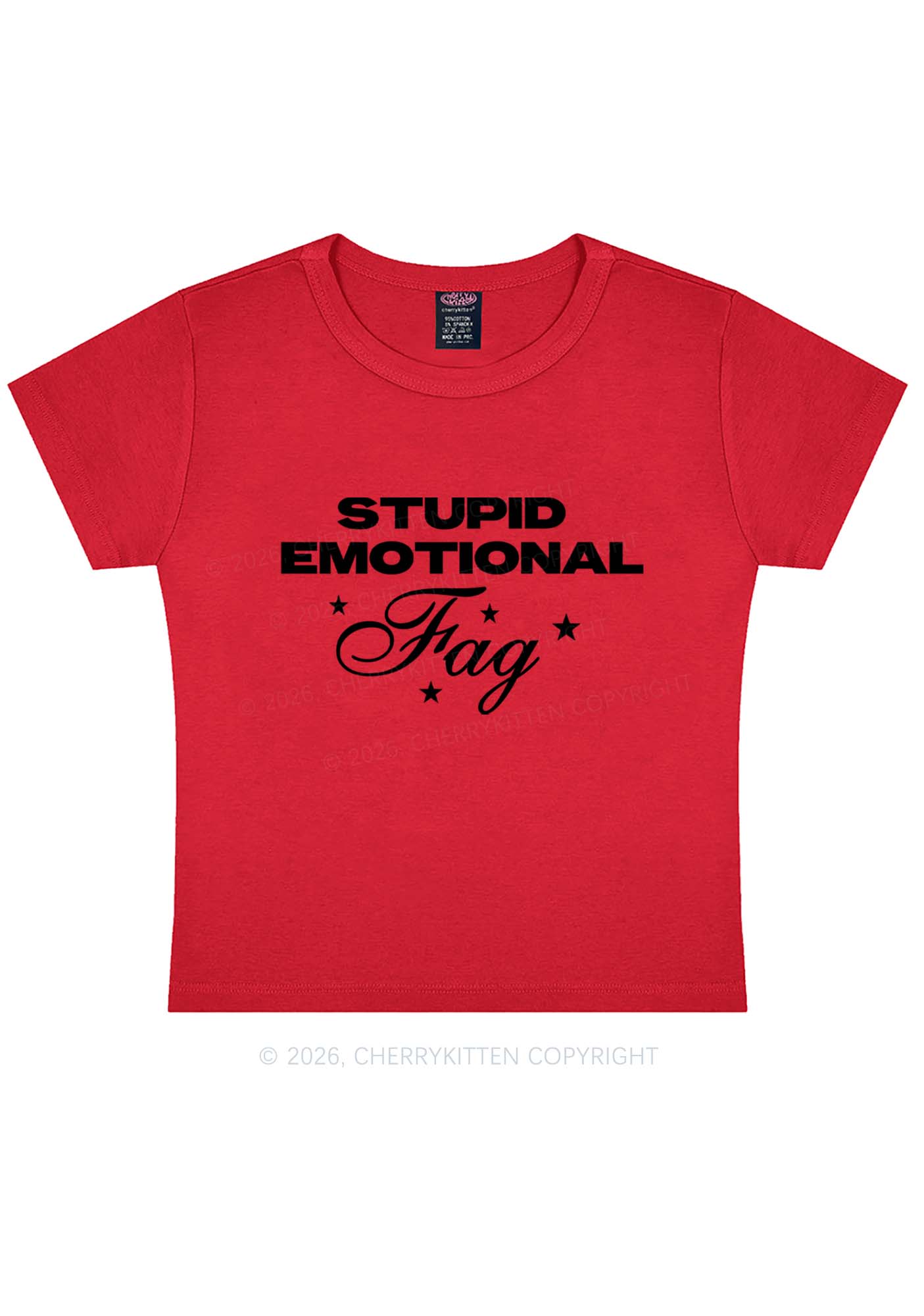 Stupid Emotional Fag Pride Y2K Baby Tee Cherrykitten
