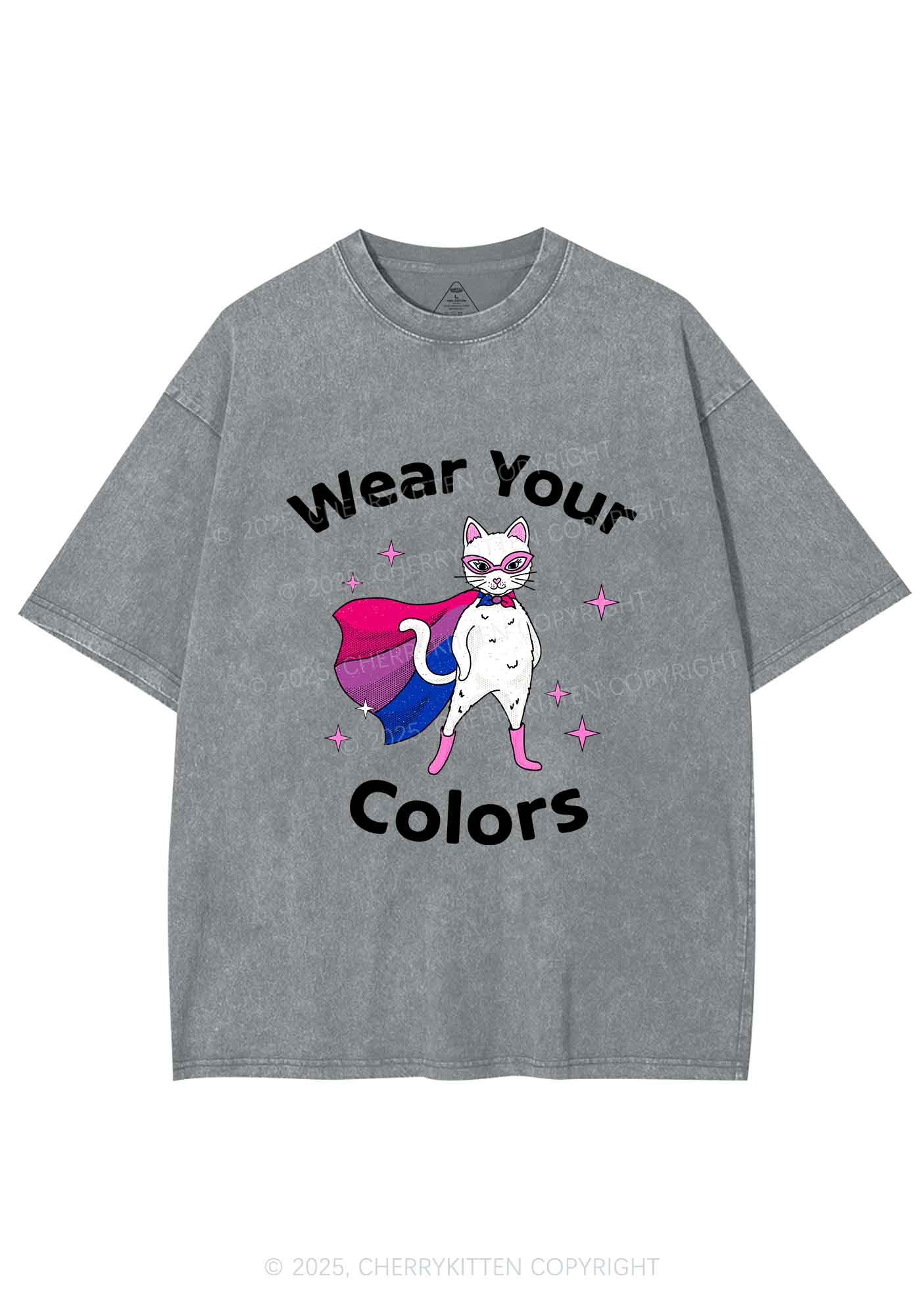 Bisexual Flag Cat Pride Y2K Shirts Washed Tee Cherrykitten