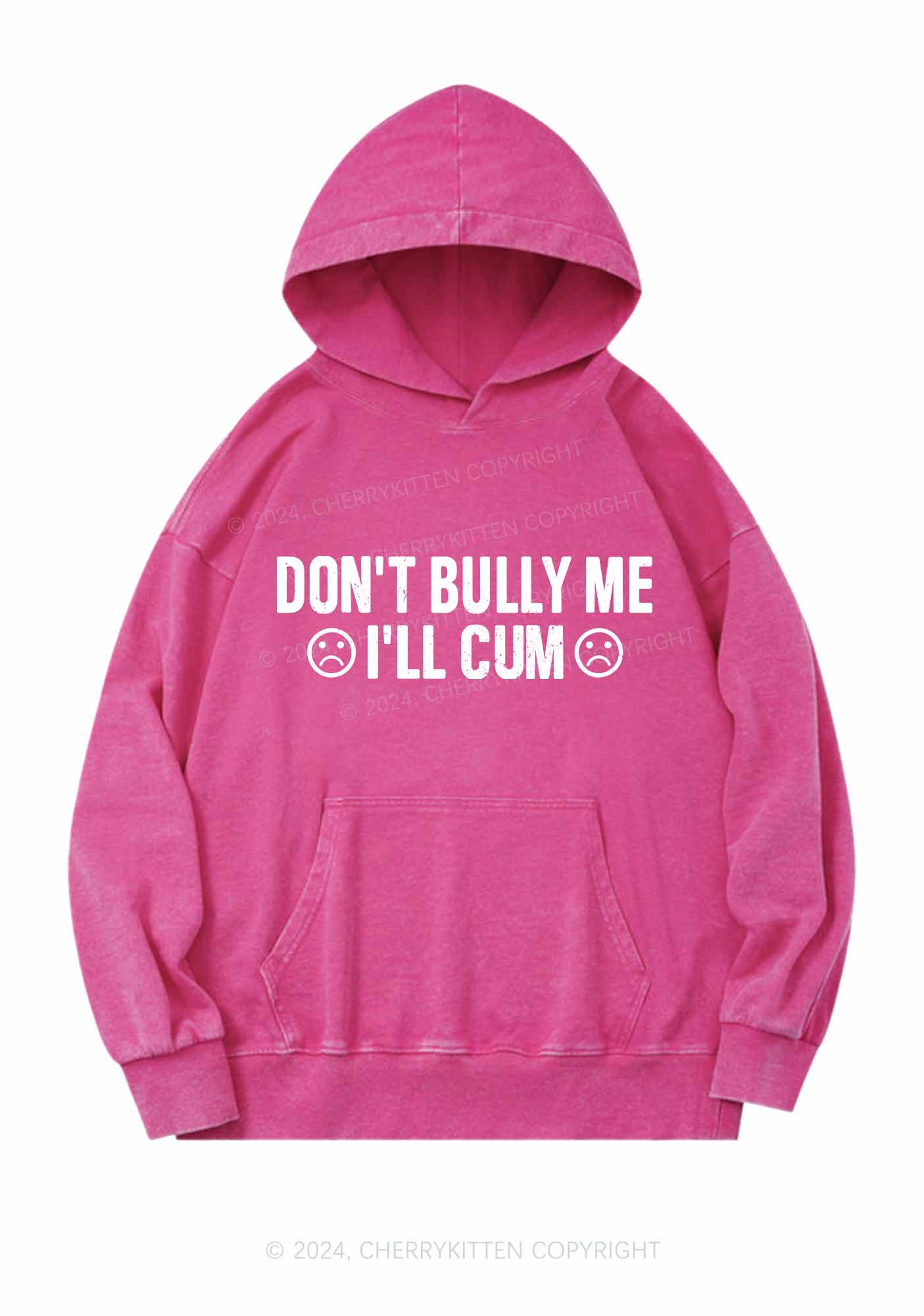 Don't Bully Me Y2K Washed Hoodie Cherrykitten