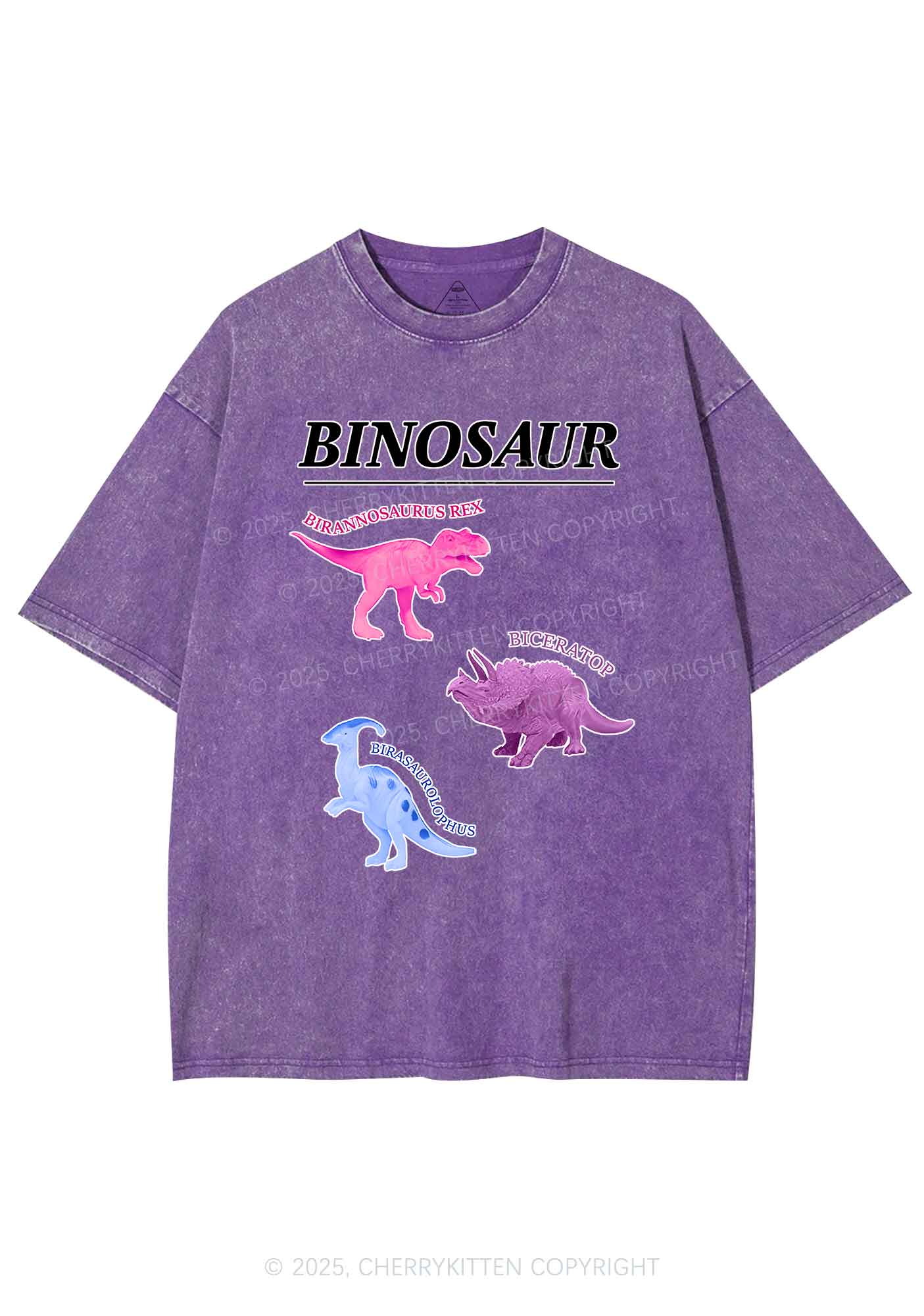 Binosaur Pride Y2K Shirts Washed Tee Cherrykitten