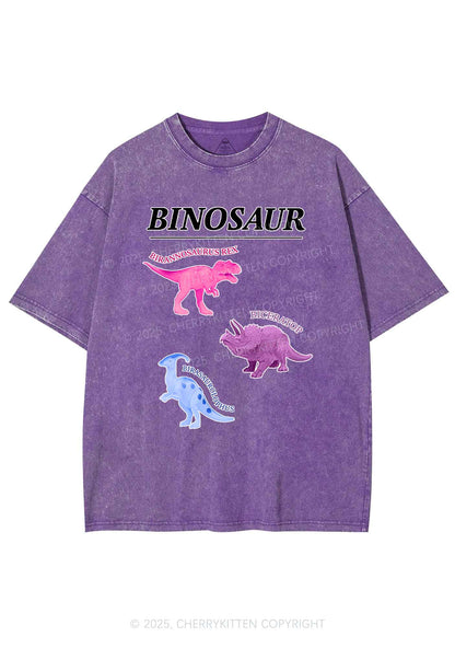 Binosaur Pride Y2K Shirts Washed Tee Cherrykitten