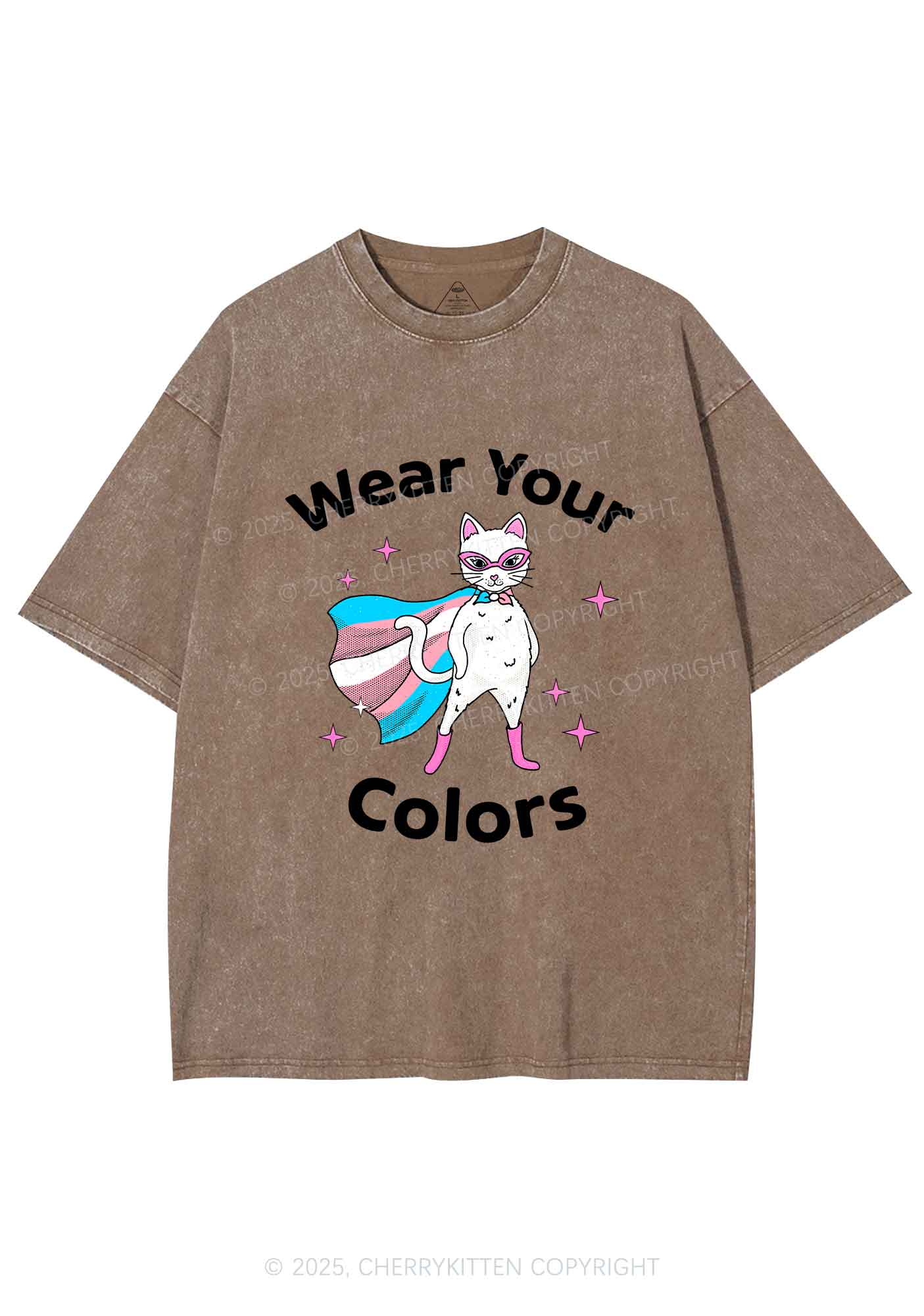 Transgender Flag Cat Pride Y2K Shirts Washed Tee Cherrykitten