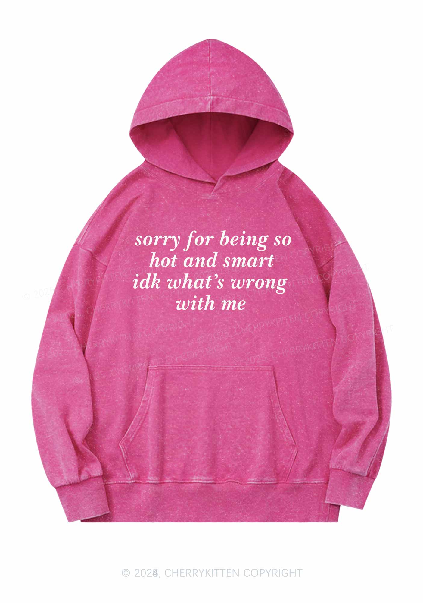 Sorry For Being So Smart Y2K Washed Hoodie Cherrykitten