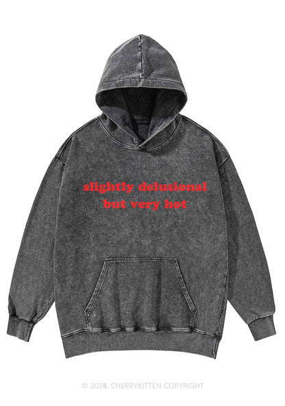 Slightly Delusional But Very Hot Y2K Washed Hoodie Cherrykitten