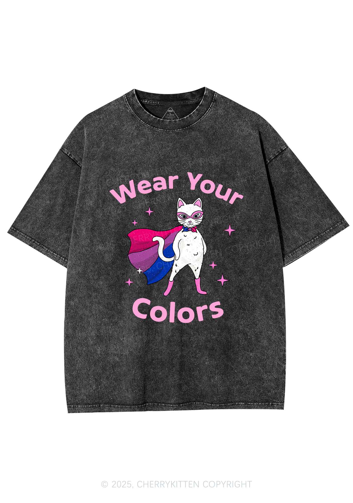 Bisexual Flag Cat Pride Y2K Shirts Washed Tee Cherrykitten