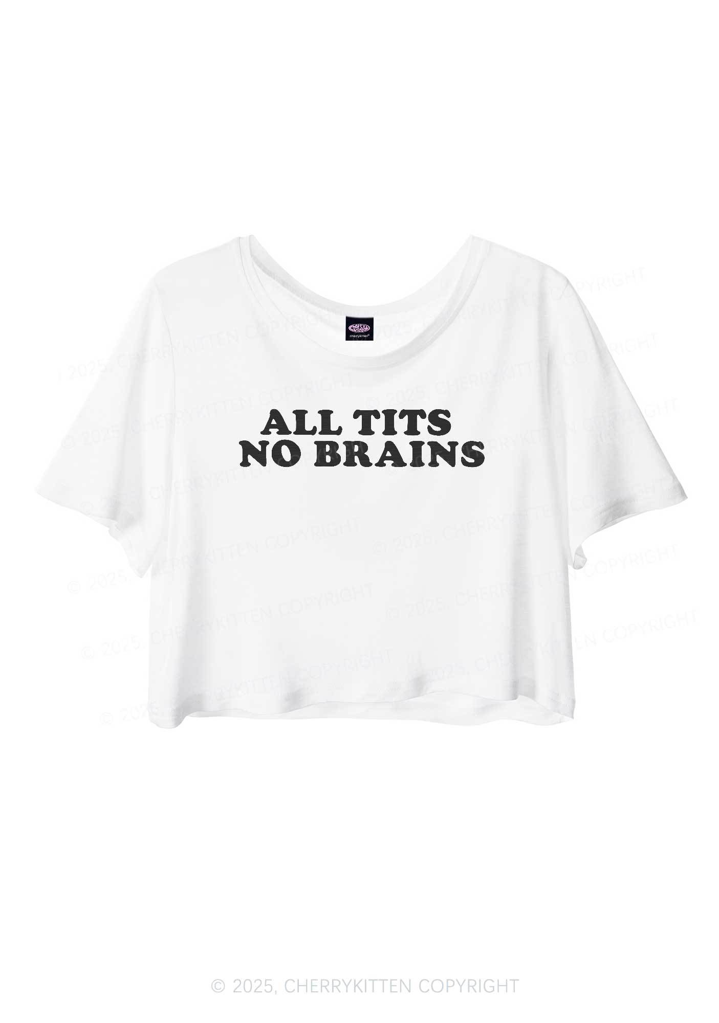 All Txts No Brains Y2K Sheer Crop Tee Cherrykitten