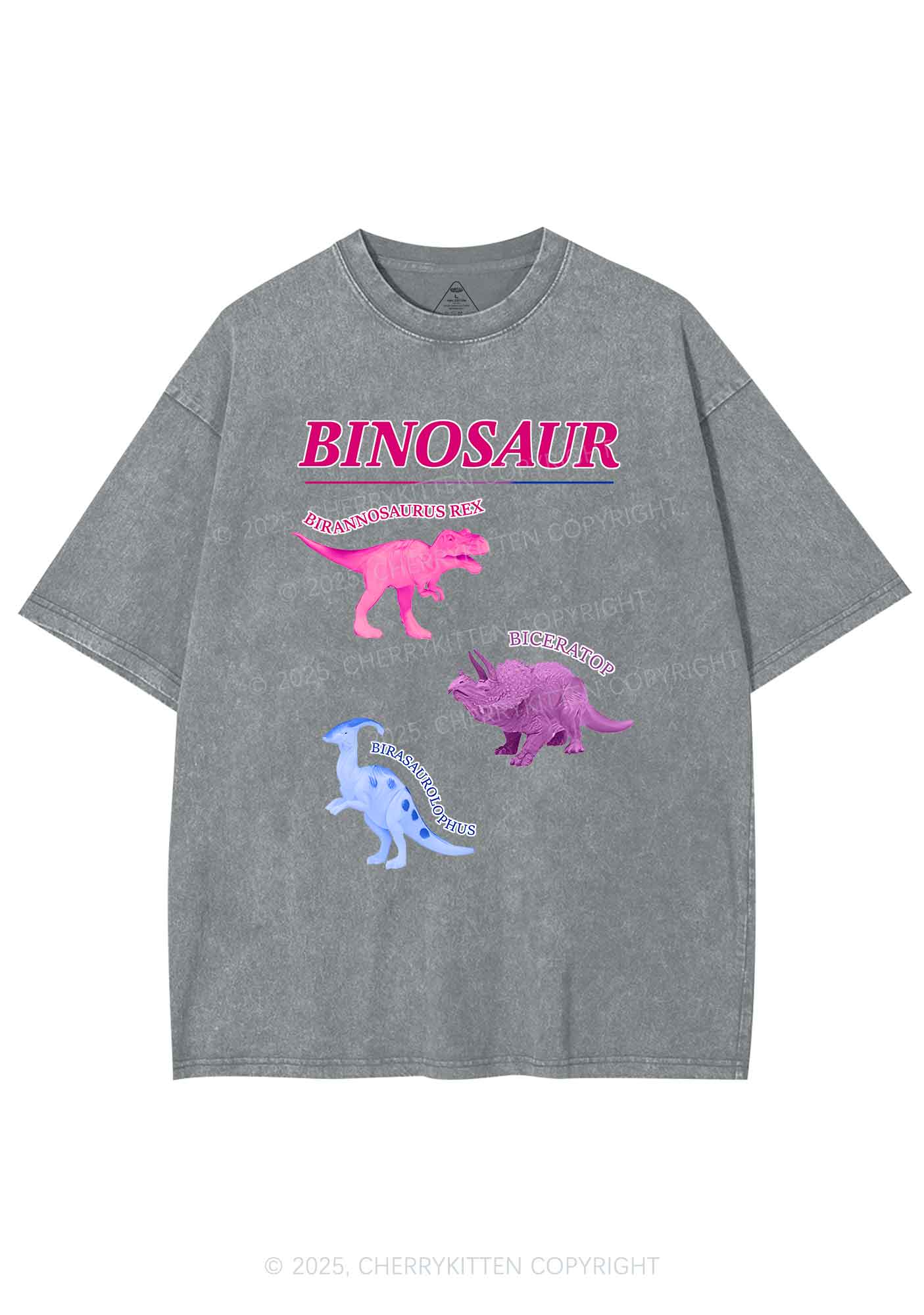 Binosaur Pride Y2K Shirts Washed Tee Cherrykitten