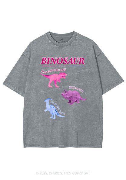 Binosaur Pride Y2K Shirts Washed Tee Cherrykitten