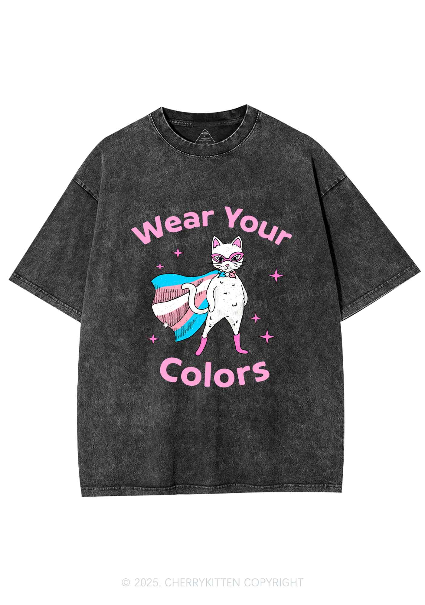 Transgender Flag Cat Pride Y2K Shirts Washed Tee Cherrykitten