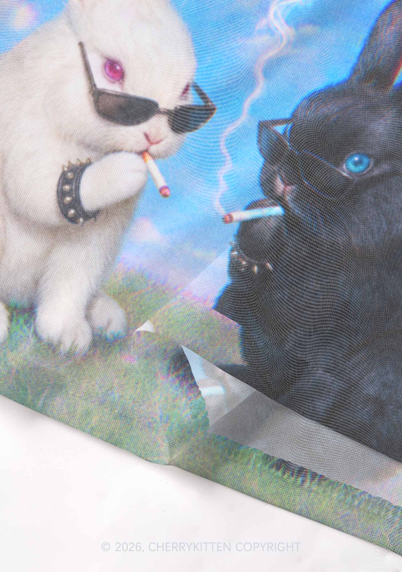 Smoking Punk Bunny Y2K Mesh Crop Top Cherrykitten