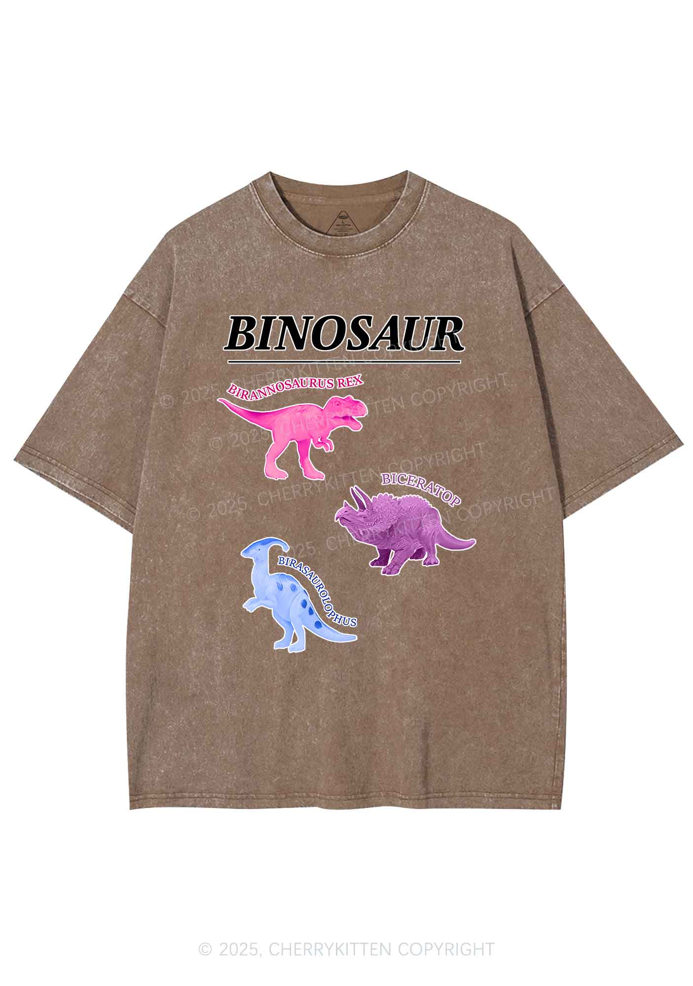 Binosaur Pride Y2K Shirts Washed Tee Cherrykitten