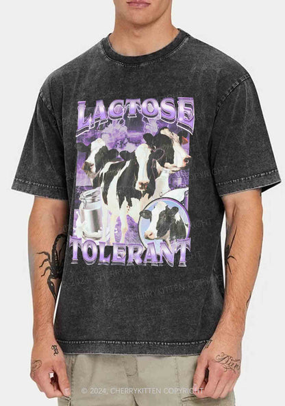 Lactose Tolerant Cow Y2K Washed Tee Cherrykitten