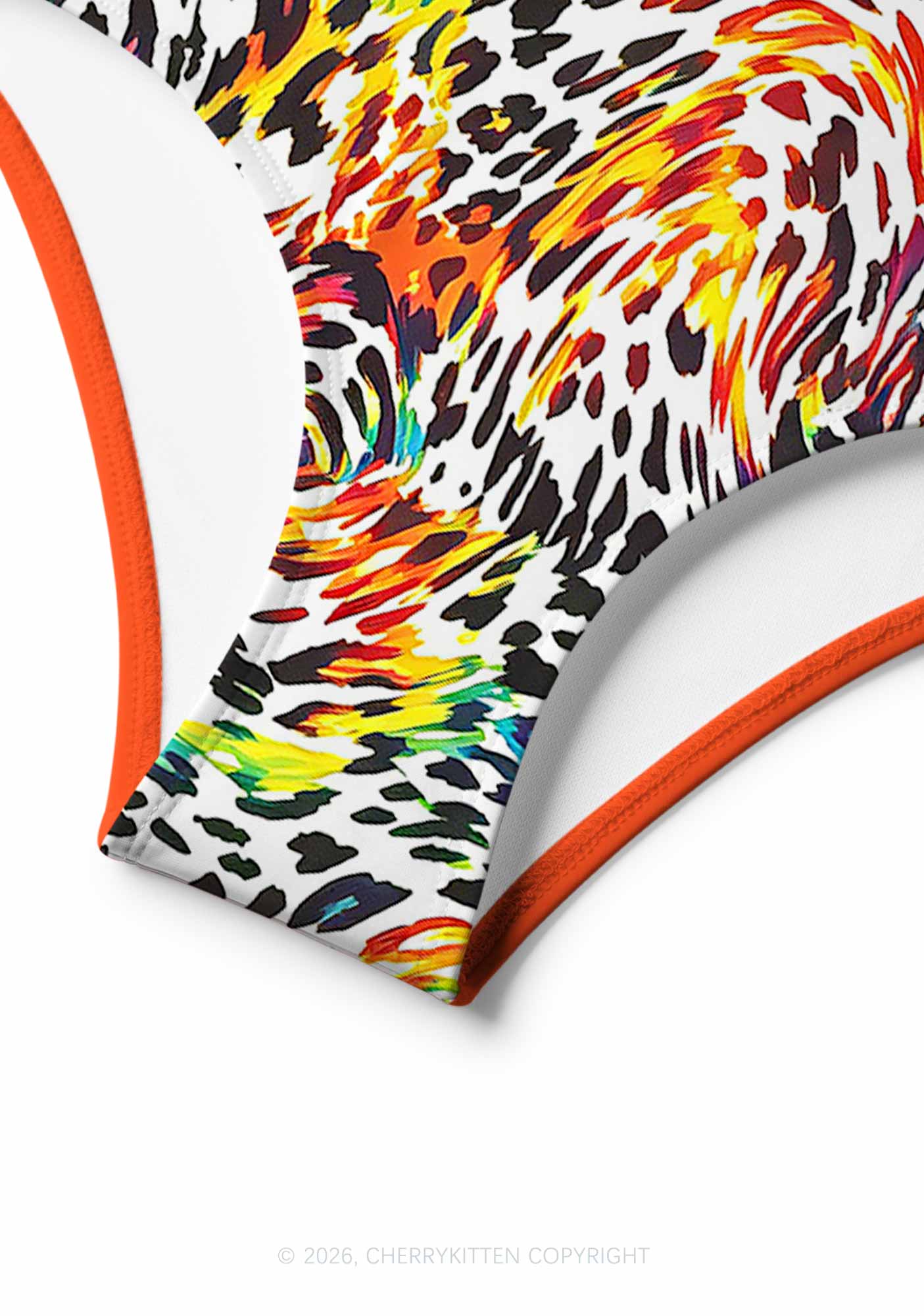Rainbow Leopard Pride Y2K Print Bikini Set Cherrykitten