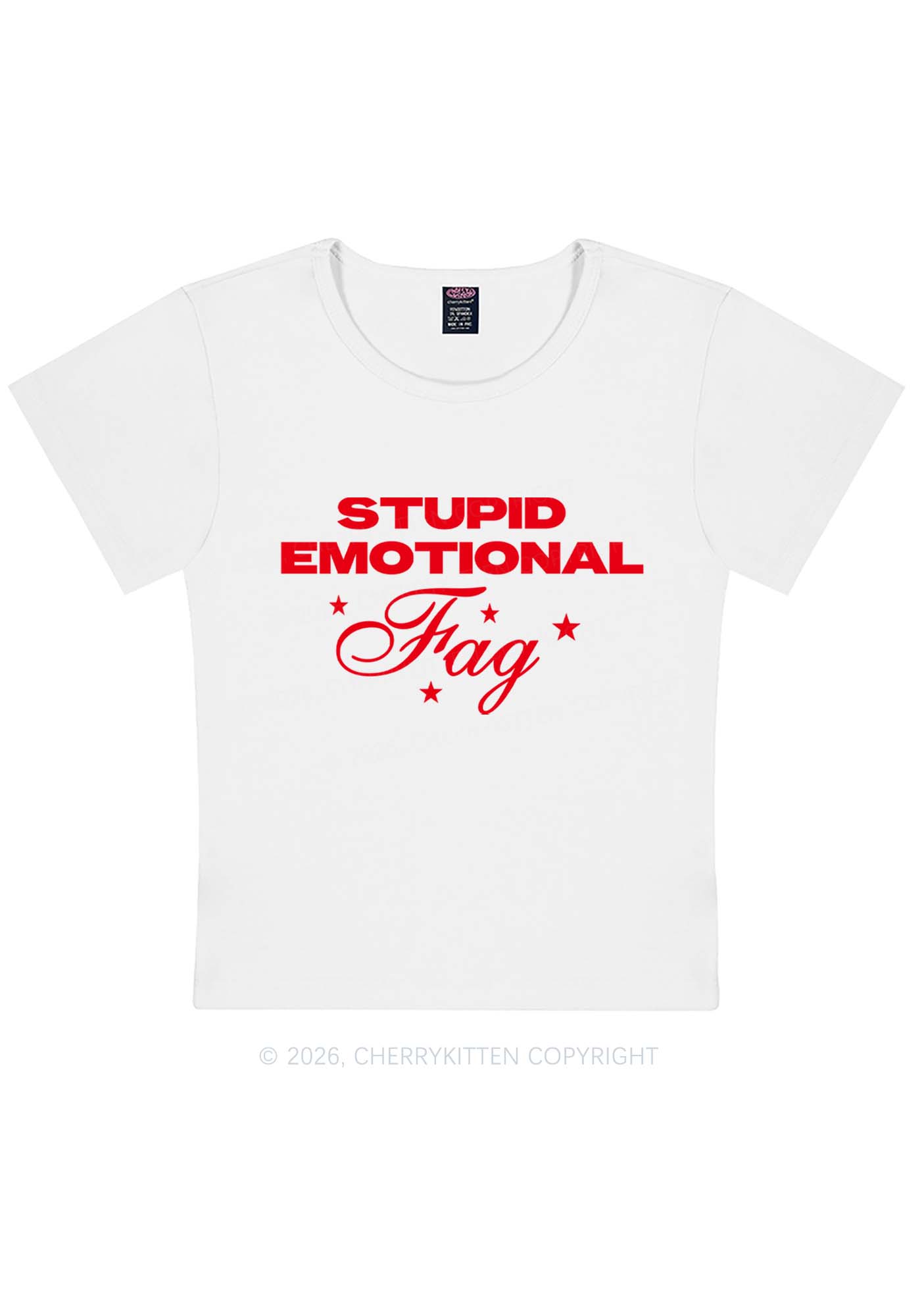 Stupid Emotional Fag Pride Y2K Baby Tee Cherrykitten