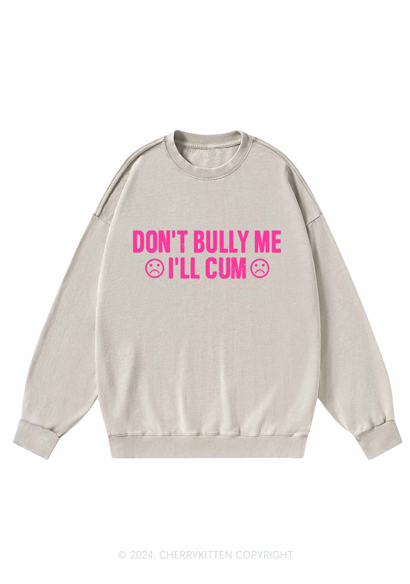 Don't Bully Me Y2K Washed Sweatshirts Cherrykitten