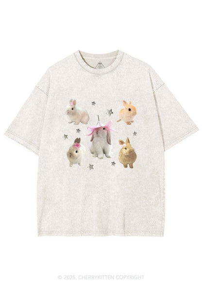 Lovely Rabbits Y2K Shirts Washed Tee Cherrykitten