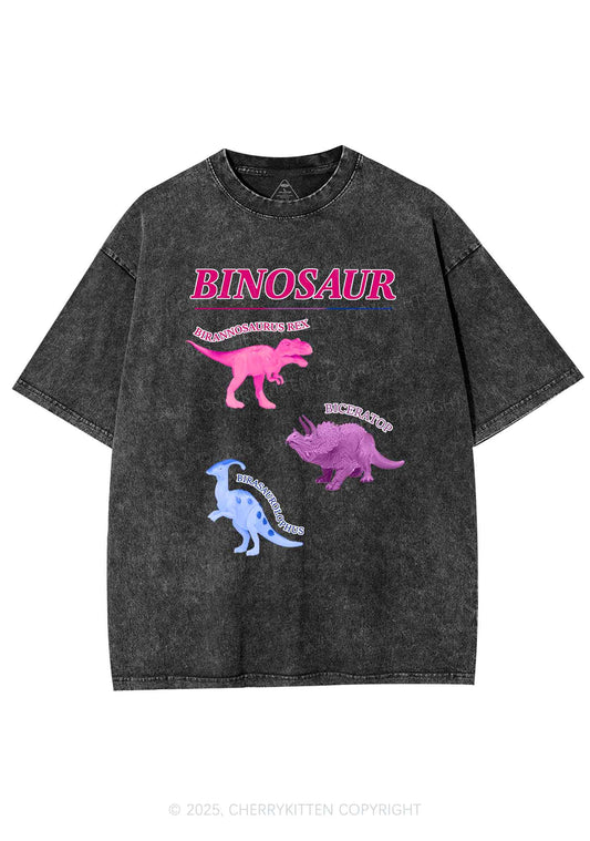 Binosaur Pride Y2K Shirts Washed Tee Cherrykitten