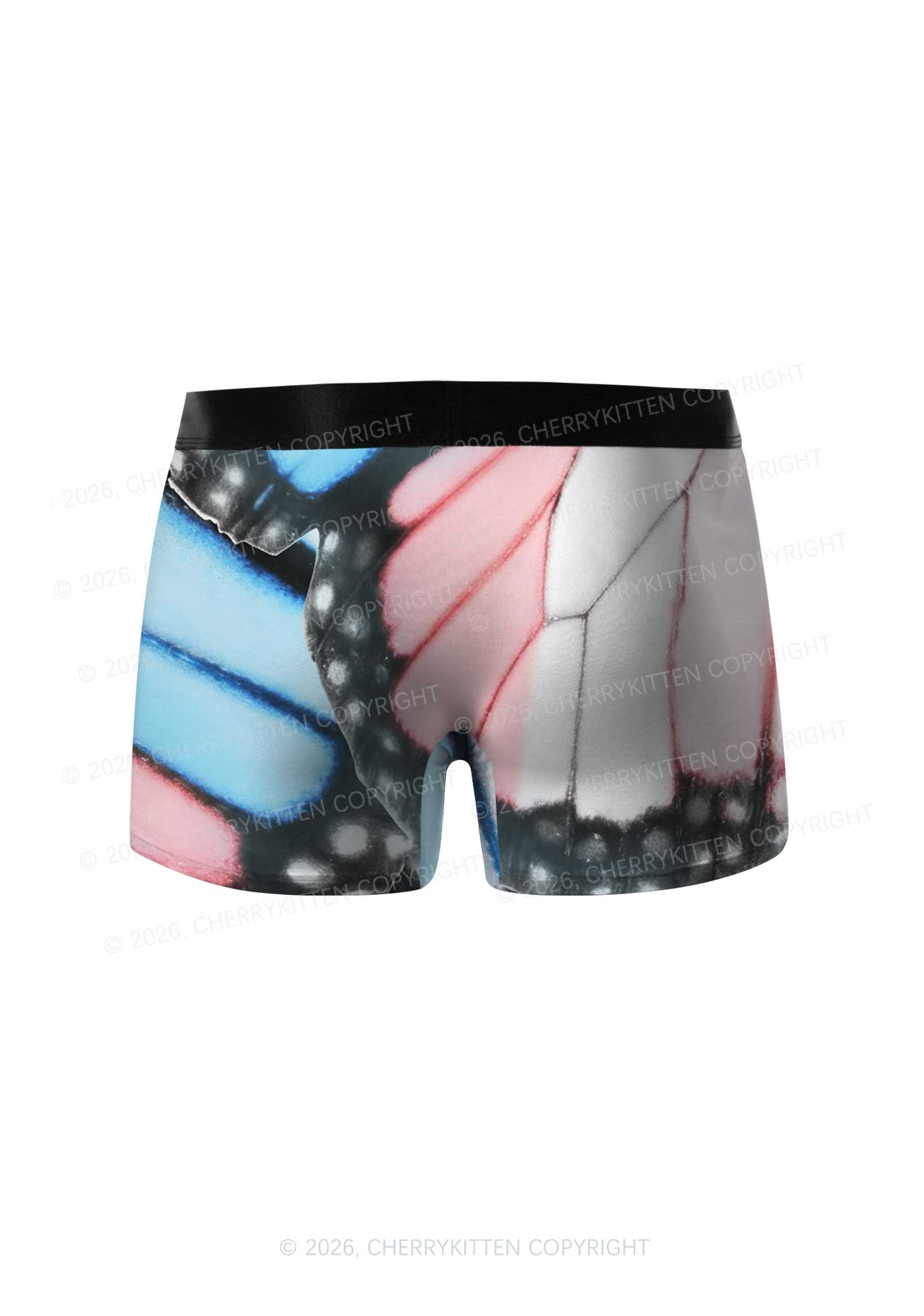 Trans Butterfly Wing Pride Y2K Print Men Boxer Briefs Cherrykitten