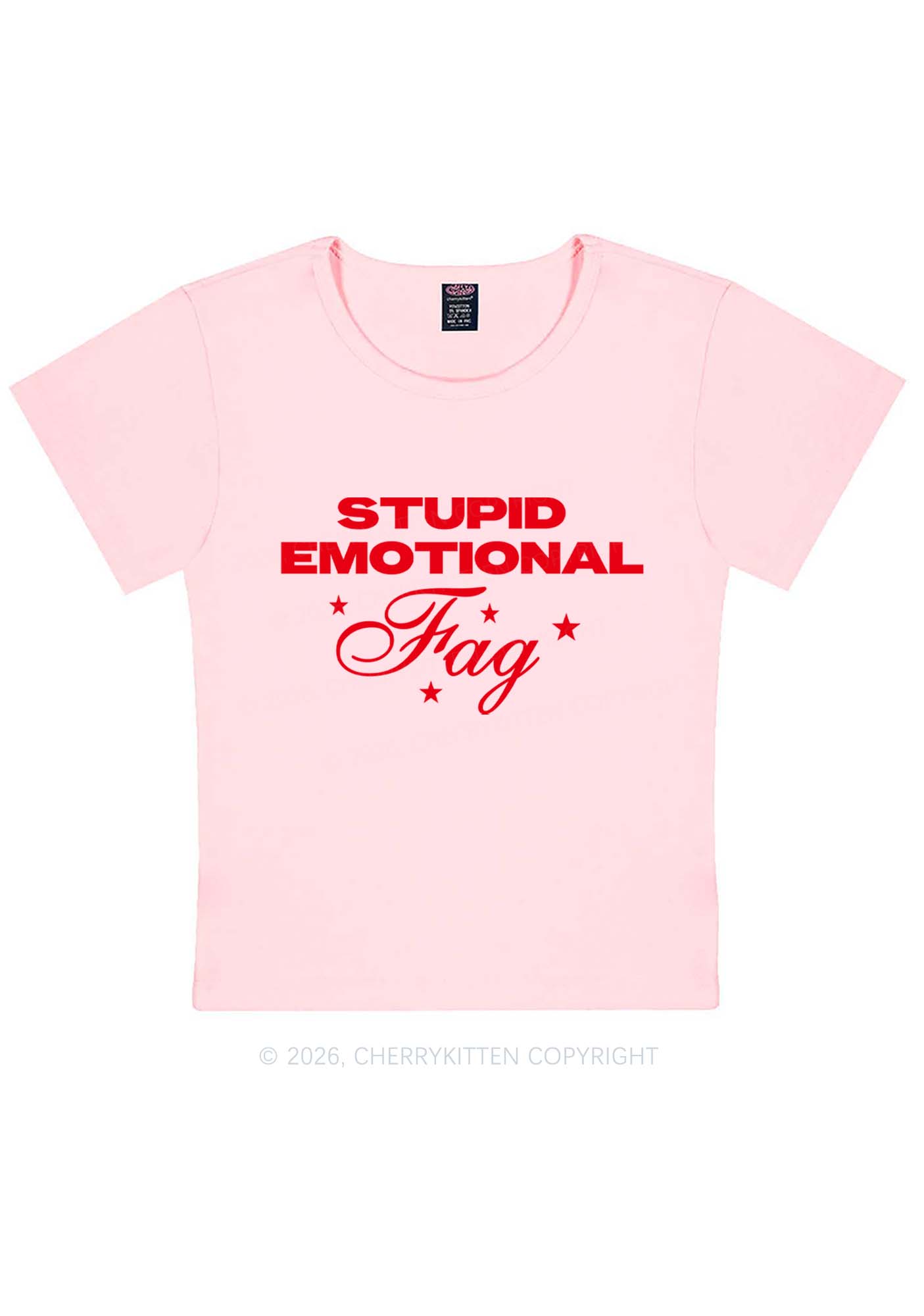 Stupid Emotional Fag Pride Y2K Baby Tee Cherrykitten