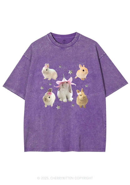 Lovely Rabbits Y2K Shirts Washed Tee Cherrykitten