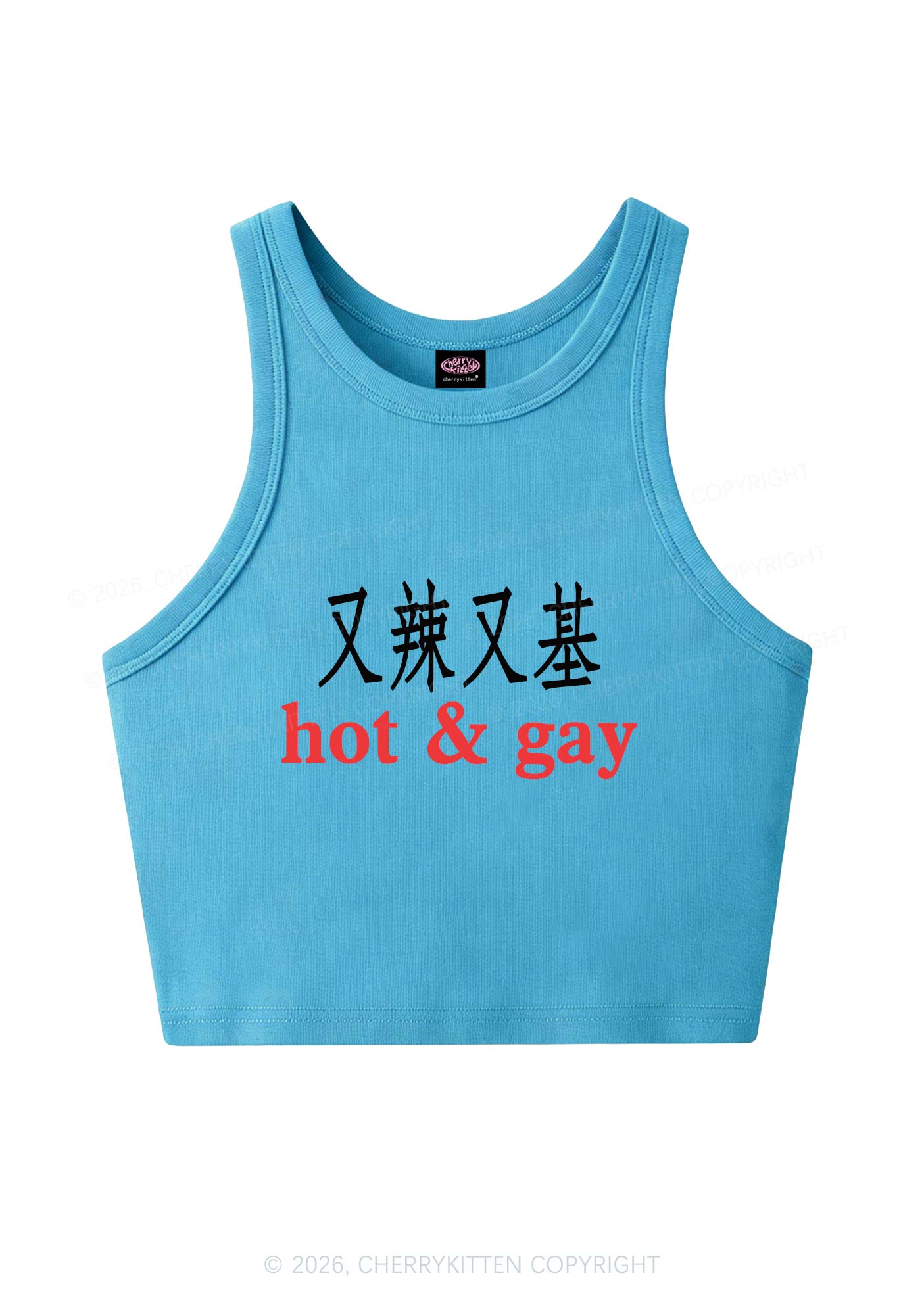 Hot Gay Pride Y2K Crop Tank Top Cherrykitten