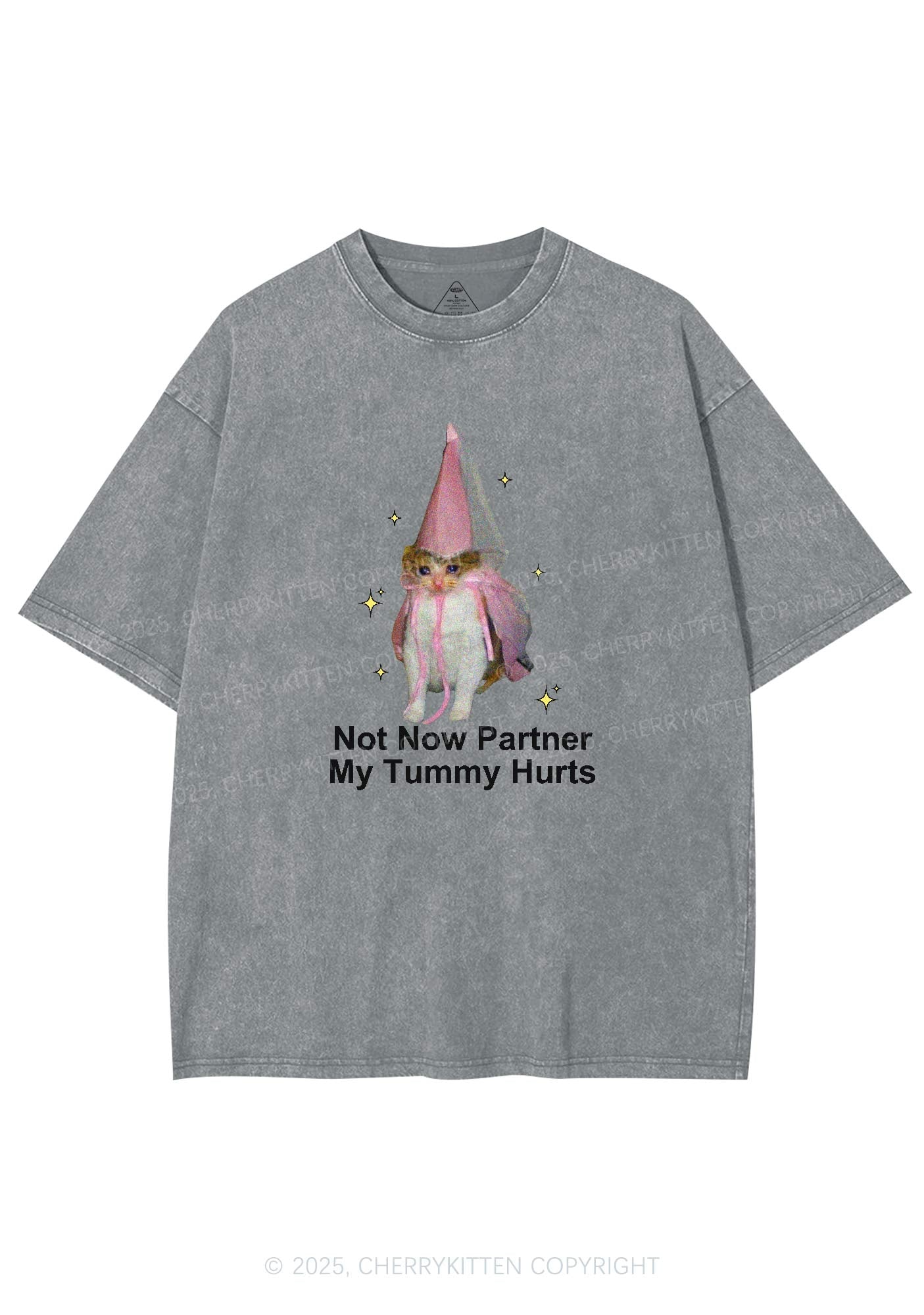 Tummy Hurts Cat Y2K Washed Tee Cherrykitten