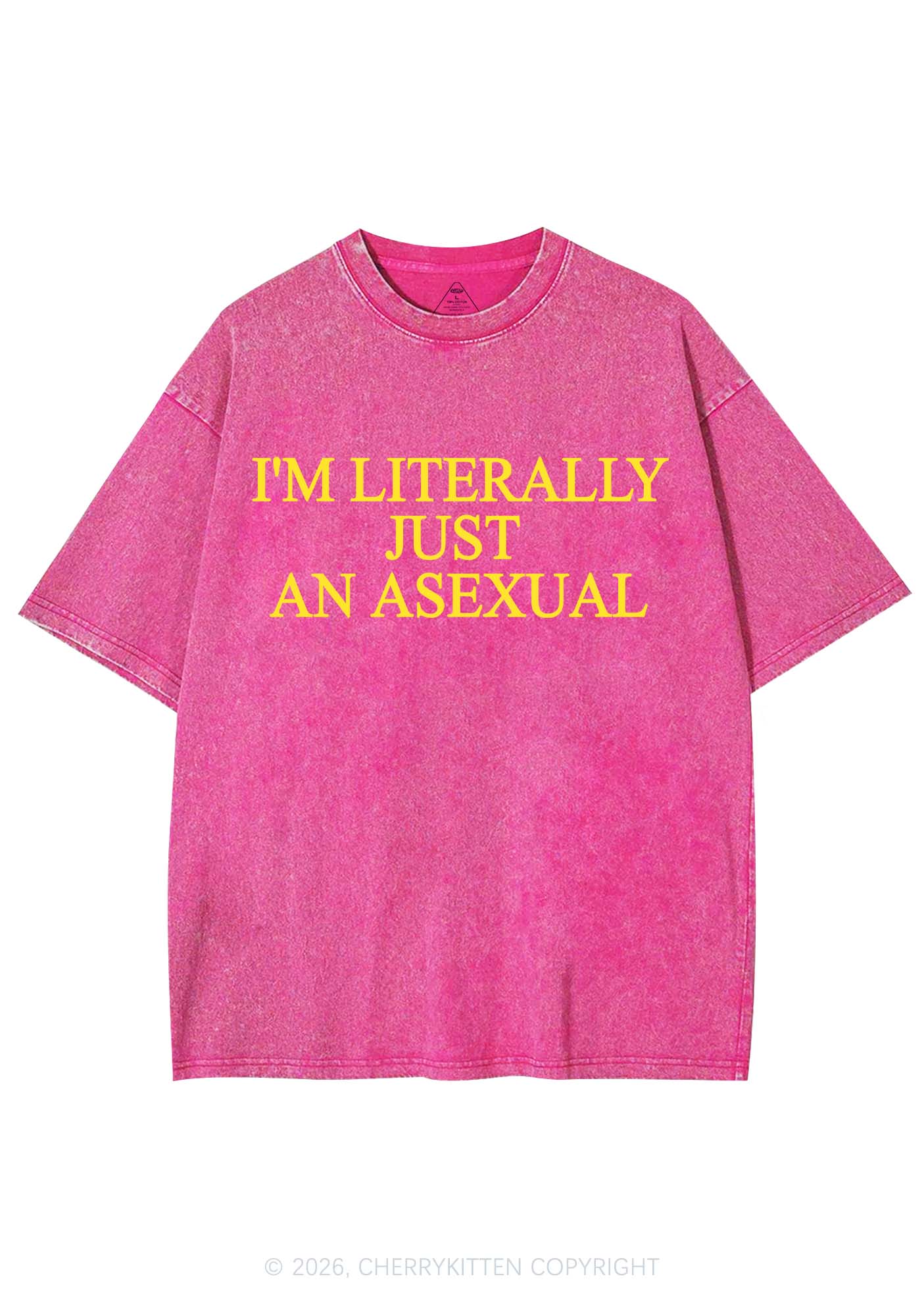 Im Literally Just An Asexual Pride Y2K Shirts Washed Tee Cherrykitten
