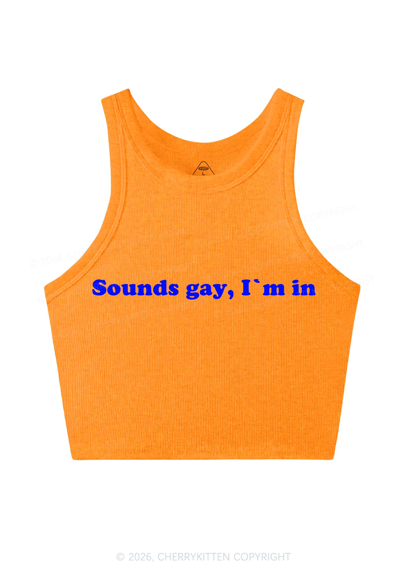 Sounds Gay Y2K Crop Tank Top Cherrykitten