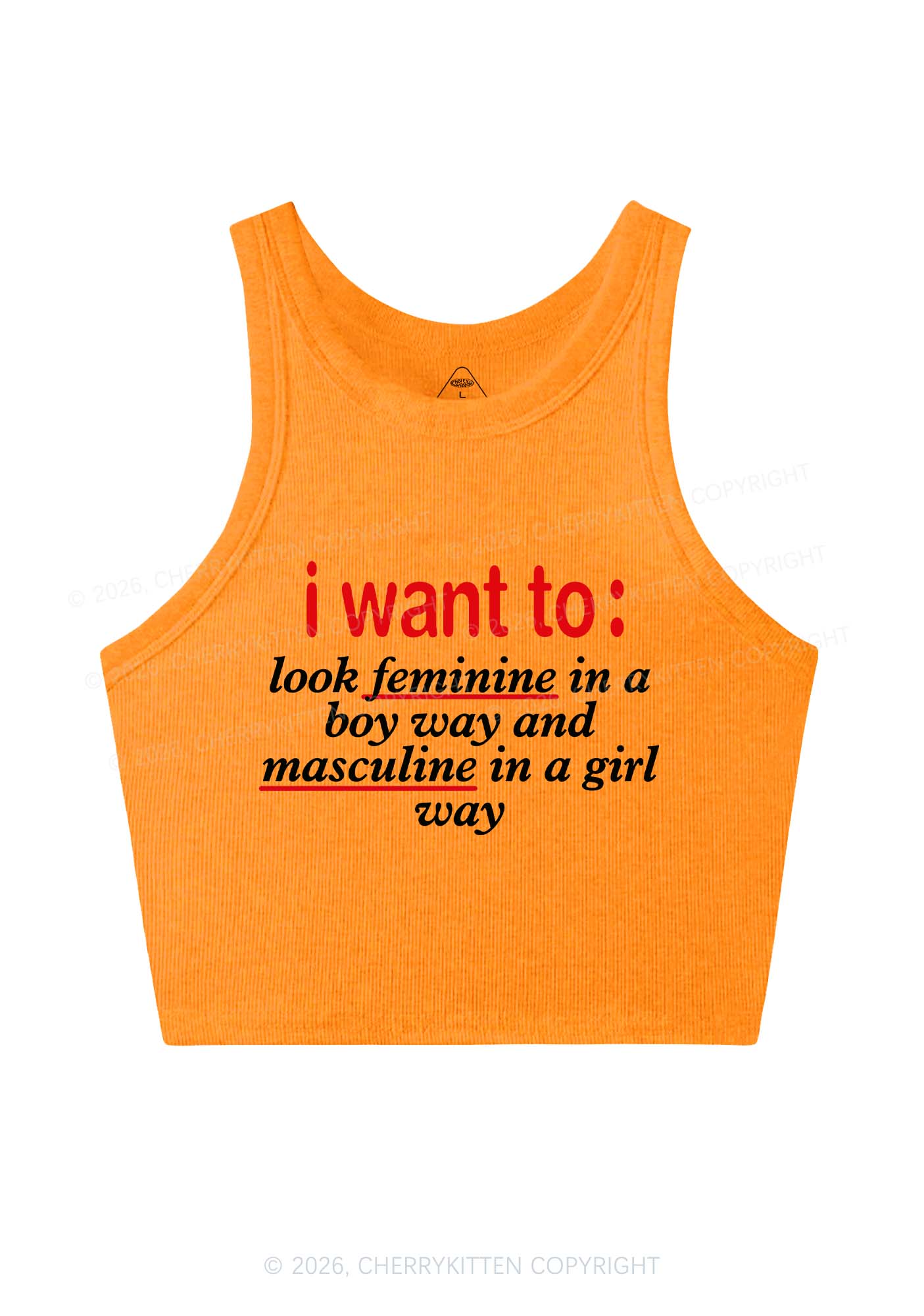I Want To Feminine Masculine Pride Y2K Crop Tank Top Cherrykitten