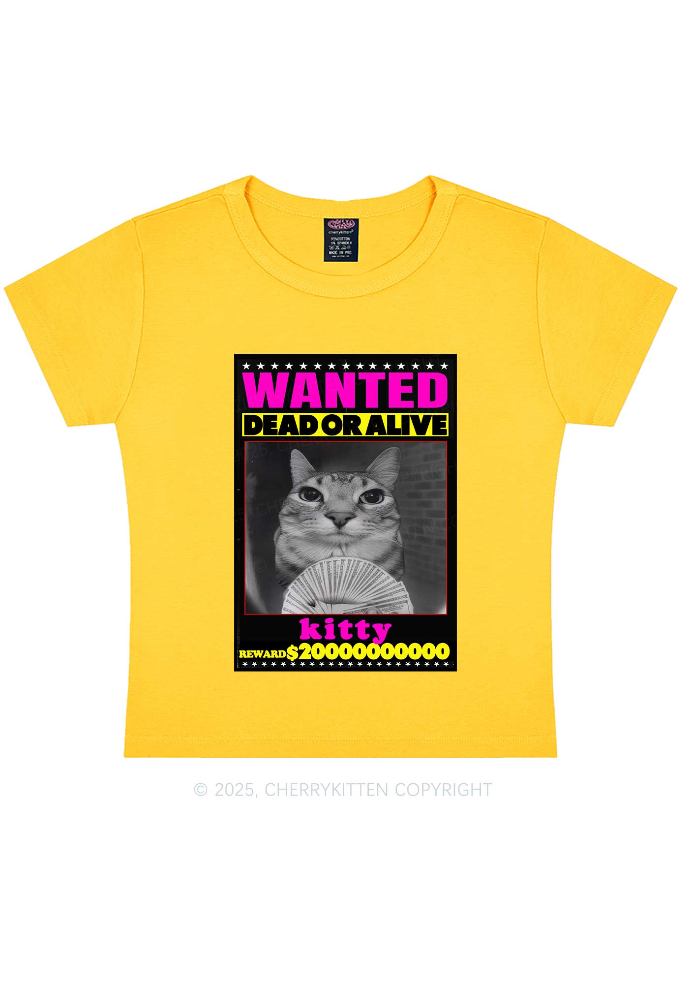 Custom Wanted Kitten Y2K Baby Tee Cherrykitten